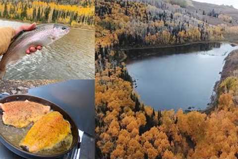 FALL TROUT FISHING CATCH &amp; COOK!! (Fly Fishing)