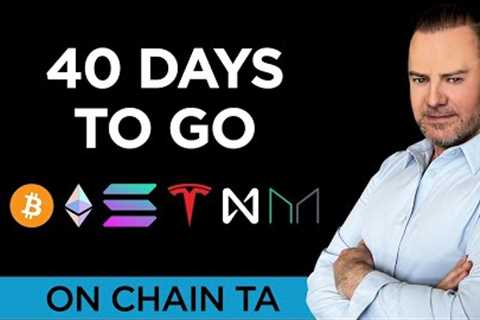 🚀 OCTA: Bitcoin to go Bonkers in 40 days! 🌕