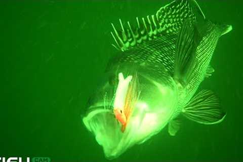 Jig Fishing on Fire + Underwater Drone Views!