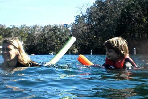 Florida's Nature Coast is the Best Place To Swim With Manatees