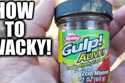 How to WACKY RIG a GULP MINNOW - NEW WAY to Fish with Gulp!