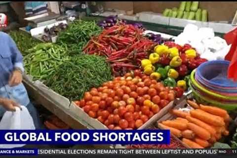 Global Food Shortages// South East Asia Faces A Serious Food Security Crisis// A News