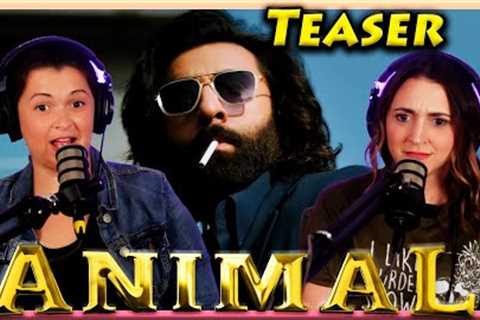 India's Animal Trailer Reaction | Ranbir Kapoor