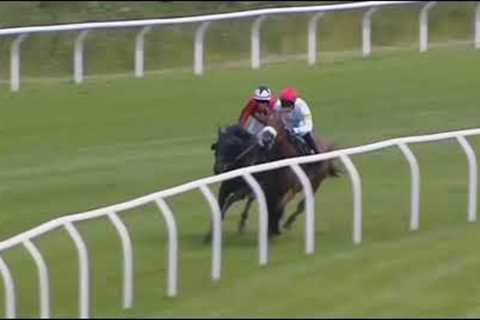 All Horses Fall Down Only Rectory Oak Horse Are Left To Win The Race In Newton Abbot Track