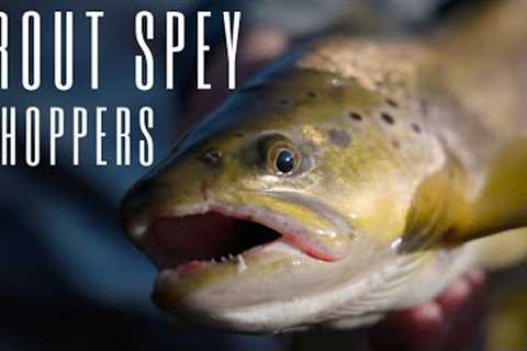 Summertime Trout Spey and Hopper Fishing in Montana