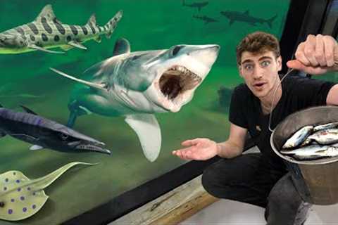 LARGEST indoor Aquarium FISH FEEDING!!!