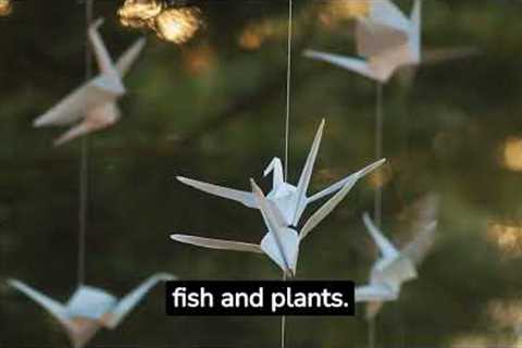 Need a New Hobby? Check Out HowExpert Top 50 Hobbies List #HowExpert #List #Hobbies #Fun #AtoZ
