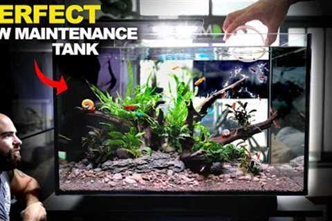 ALL IN ONE Peninsula Kit Aquarium: Easy &amp; Stunning Setup