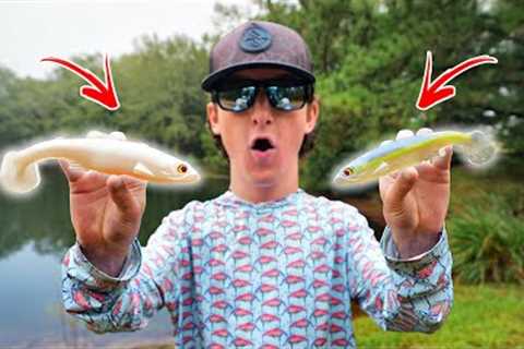 I Went Fishing With The Most REALISTIC Lures (Science Experiment)