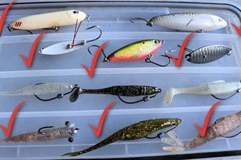 Everything You Need To Bring On Your Inshore Saltwater Fishing Trip