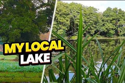 Carp Fishing A Small Local Lake