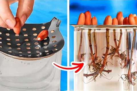 Unusual Hacks For Growing Plants Anywhere