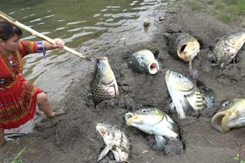 Survival Skills Primitive: Girl Discovers Many fish rose up in mud puddle, Fishing underground