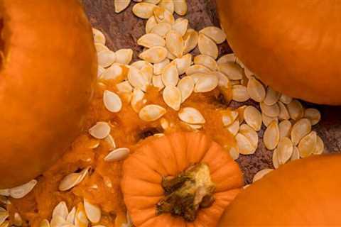 Pumpkin guts can help you avoid plumbing mishaps this Halloween