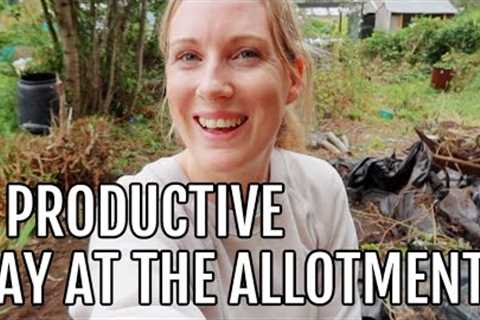 A PRODUCTIVE DAY AT THE ALLOTMENT / ALLOTMENT GARDENING FOR BEGINNERS