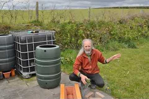 How to make a liquid fertiliser (that doesn't smell bad!) from nettles or comfrey.