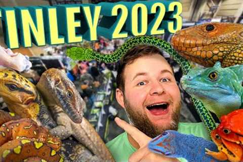 RARE REPTILES ALL OVER!!! NARBC TINLEY PARK 2023!
