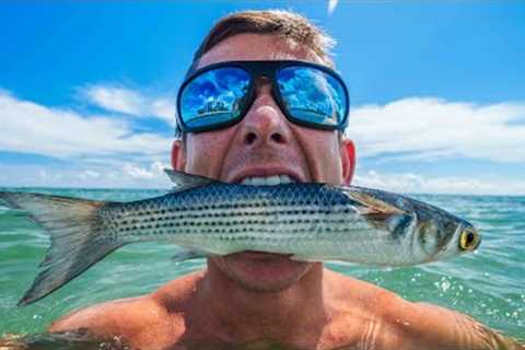 World's Most EPIC Bait Migration...Florida Mullet Run- Catch Clean Cook