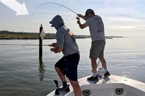 This Is The BEST Time Of The Year To Catch THESE Delicious Fish! *Catch, Clean, &amp; Cook*
