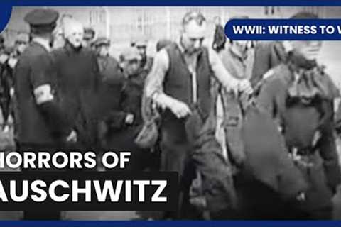 Auschwitz to Berlin: The Final Battle - WWII: Witness to War - S01 EP11 - History Documentary