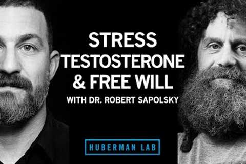 Dr. Robert Sapolsky: Science of Stress, Testosterone &amp; Free Will | Huberman Lab Podcast #35
