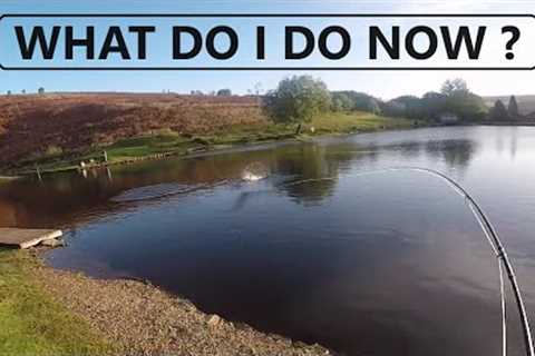 206. Don't Count Your Trout Until You Net Them - Fly Fishing UK