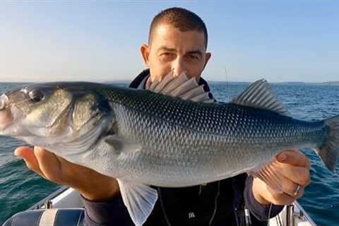 Catching Big Bass and AMAZING Cuttlefish footage - Incredible underwater !!! | The Fish Locker