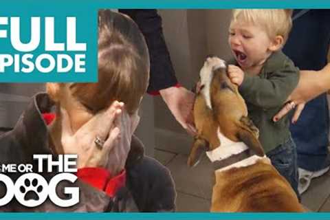 Victoria Shocked by Family Abusing their Dog! | Full Episode | It's Me or The Dog