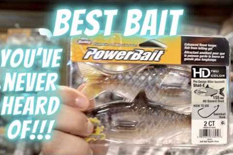 Lake Fork Berkley Bass Fishing Tournament: Best Bait You've Never Heard Of, This Could Win It All!