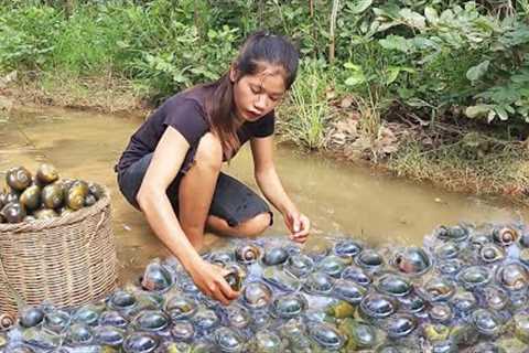Survival Food Catching and cooking snails for jungle yummy Food