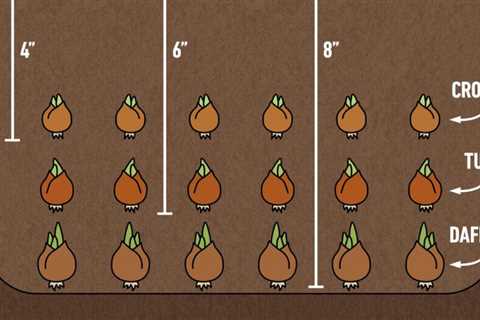 What is the Lasagna Planting Method?