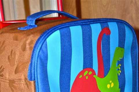 Stephen Joseph Boys Backpacks - The Carry-on Solution