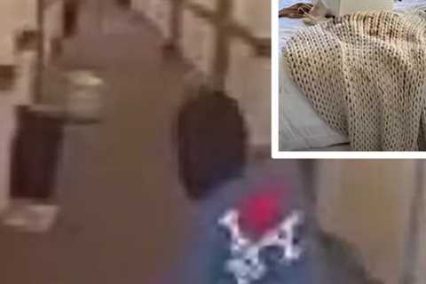 Video of Man Wearing Female Victim's Underwear After Alleged Break-in, Lurks Apartment Hallways