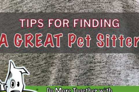 Tips For Finding A Great Pet Sitter