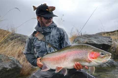Fly Fishing Mega Trout on Worlds Best Trophy Trout River!