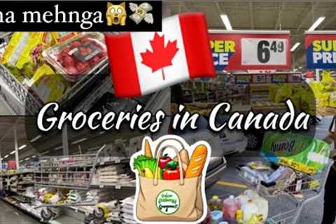 Grocery shopping in Canada | Walmart Canada | Grocery Prices