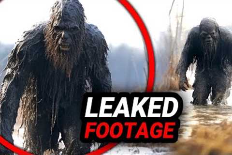 Disturbing Trail Cam Footage The Gov't Doesn't Want You To See