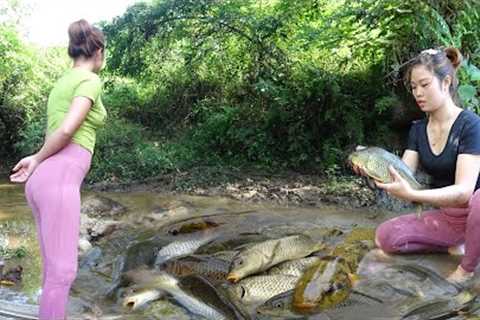 Survival Skills - Unique Fishing, Catch A Lot Of Fish, Survival Bushcraft - Nana Fishing