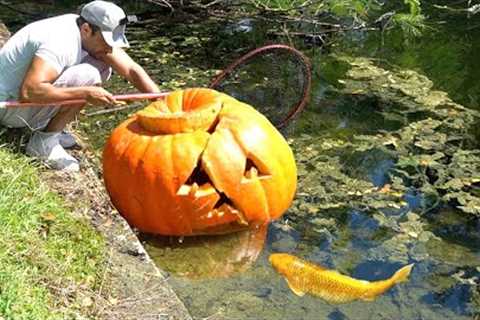 GIANT PUMPKIN FISH TRAP! **Finally Catching cursed Fish in Halloween**