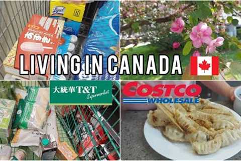 Grocery shopping at Costco and T&amp;T supermarket| Living in Canada | Ordinary days in my life.