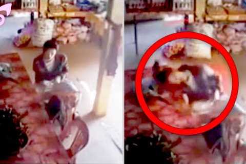 Scary Videos That'll Make You Jump!