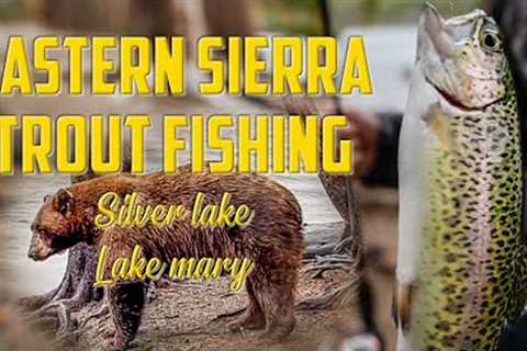 Nonstop Lure action at Lake Mary | Trout Fishing at Silver lake during the storm | Eastern Sierra