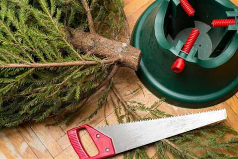How long do Christmas trees last?