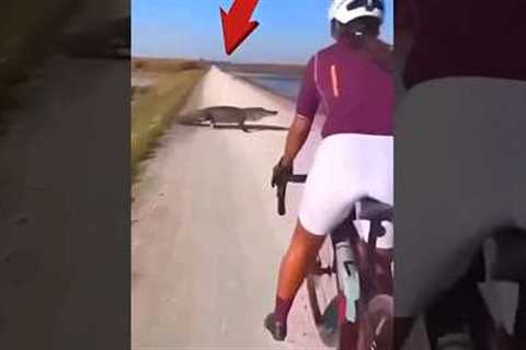 Compilation Of Top Mistakes In Sports  _4 #funny #sports #shorts