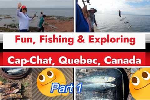 Quebec Fishing and Periwinkle Picking