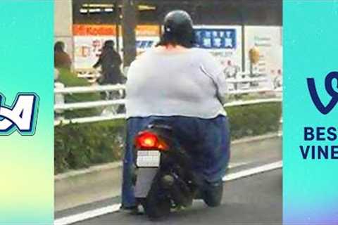 Try Not To Laugh Funny Videos - The Ultimate Funny Fails