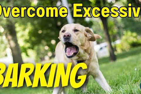 Barking Dogs! How To Help Your Dog Be Quiet And Stop Annoying Barking #239 #podcast
