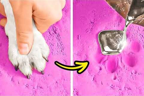 Cool Hacks And Crafts For Dog Owners