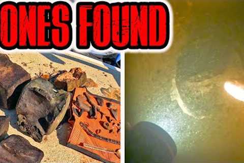 Giant Bones Found While Scuba Diving In Scary Dark Water!