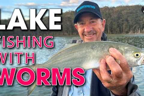 Lake Fishing STRATEGY with Beach Worms - An AWESOME Bait!